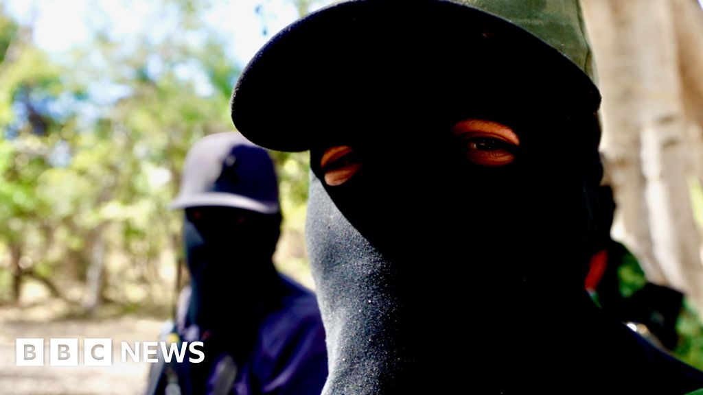 'Fear is everywhere': BBC reports from Mexican city turned into war zone by drug cartel feud